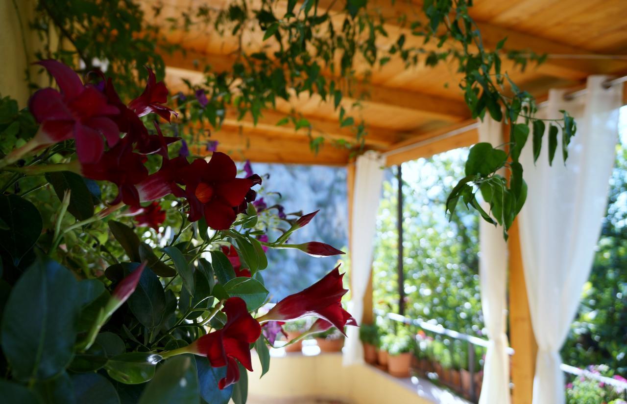 B&B Lo Sparviero Civita Exterior photo
